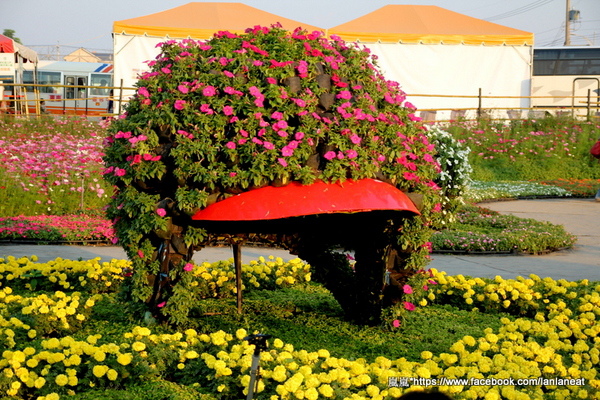 2013新社花海「花間 漫遊 樂悠遊」:【台中新社】2013新社花海-超美花海一日遊,拍照好地方! 2013新社花海「花間 漫遊 樂悠遊」:【台中新社】2013新社花海-超美花海一日遊,拍照好地方!