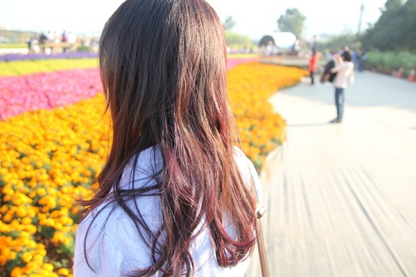 Image hair 概念美髮沙龍(勤美店):【台中勤美】Image hair 概念美髮沙龍-陽光下超美的紫色+咖啡色 Image hair 概念美髮沙龍(勤美店):【台中勤美】Image hair 概念美髮沙龍-陽光下超美的紫色+咖啡色