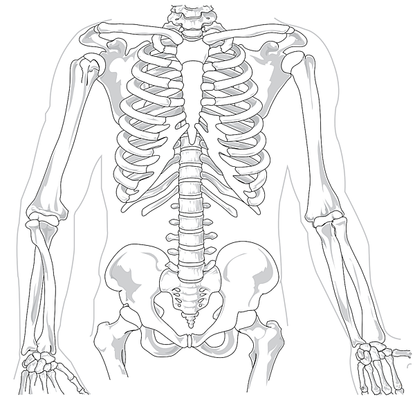 skeleton-41569_1280