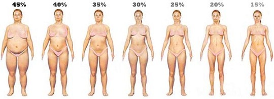 body-fat-levels-women.jpg