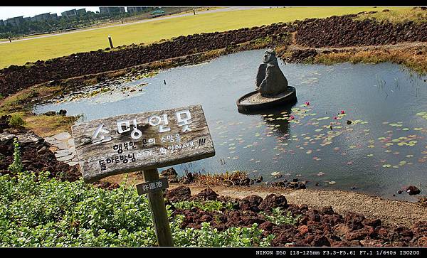 涉地可支