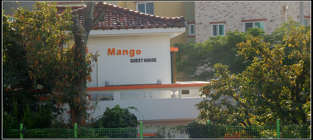 Mango Guesthouse芒果屋