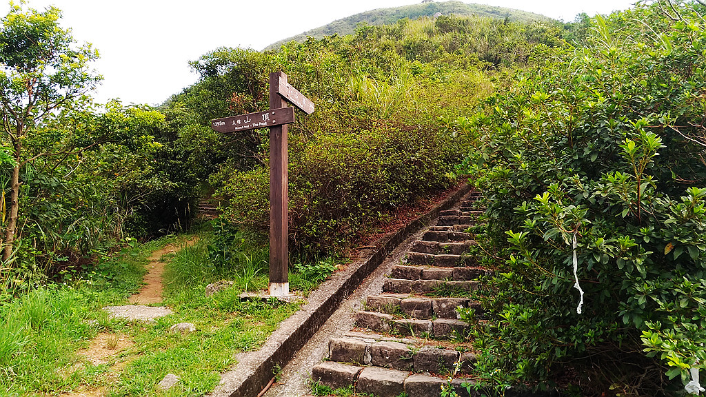 黃金一稜「基隆山稜」