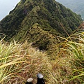 黃金一稜「基隆山稜」