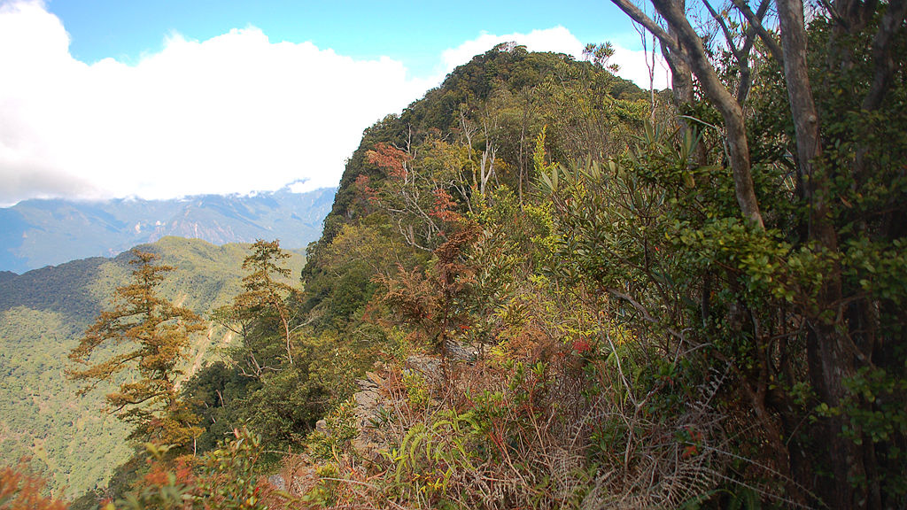 2018埔里關刀山