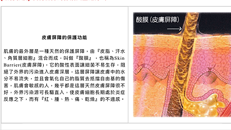 IMG_0729.PNG IMG_0729.PNG