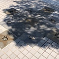 560919501.116403.JPG