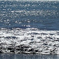 海.jpg
