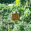 長官告示牌.jpg