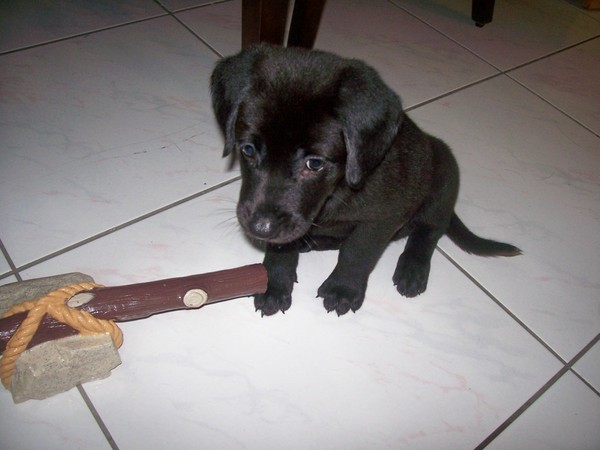 dark at home 2.jpg