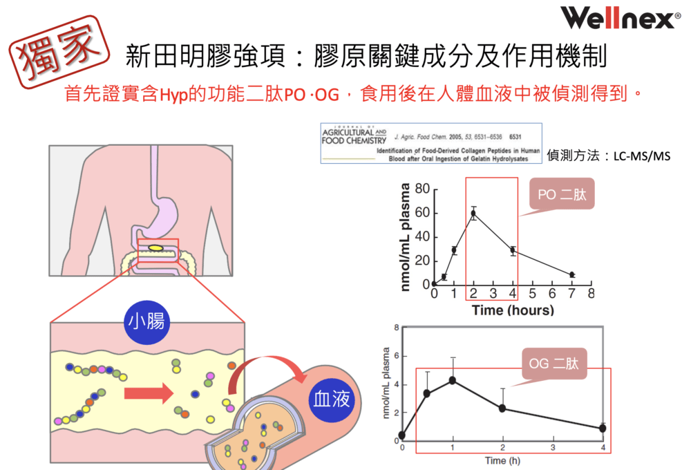 膠原蛋白實驗圖1.png