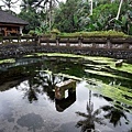 聖泉廟Pura Tirta Empul