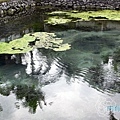 聖泉廟Pura Tirta Empul