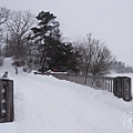 大沼国定公園．大沼國定公園