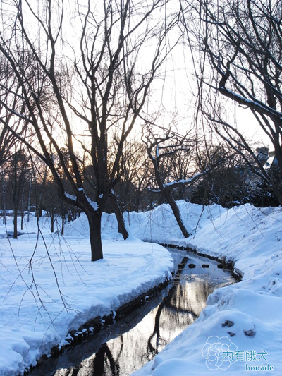 北海道大学．北海道大學