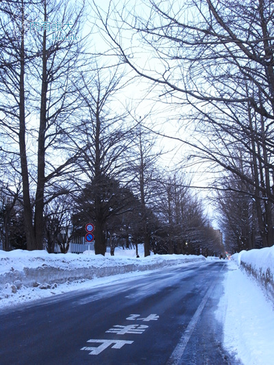 北海道大学．北海道大學