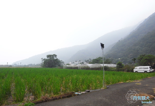 玫開四度食用玫瑰園