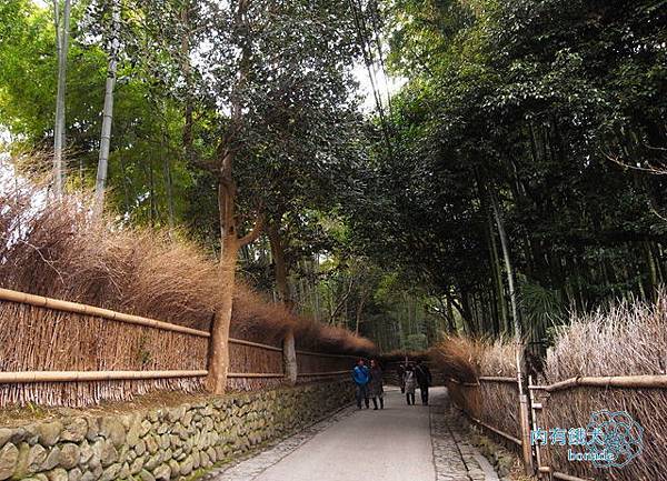 嵐山竹林小徑