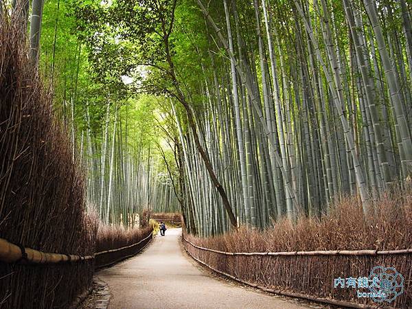 嵐山竹林小徑