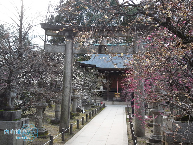 北野天滿宮．北野天満宮