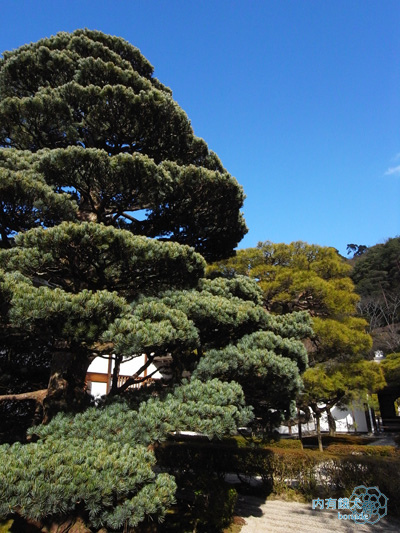 銀閣寺(慈照寺)