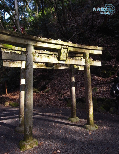 鞍馬寺&鞍馬山