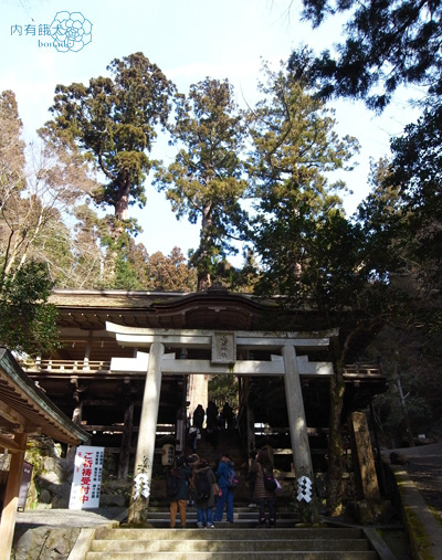 鞍馬寺&鞍馬山