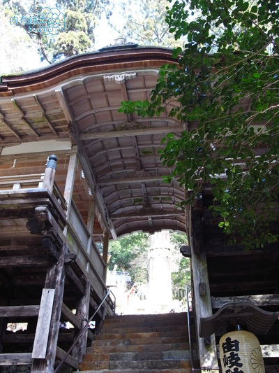 鞍馬寺&鞍馬山