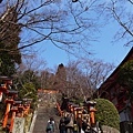 鞍馬寺&鞍馬山