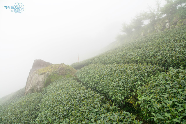 阿里山奮起湖石園觀景民宿