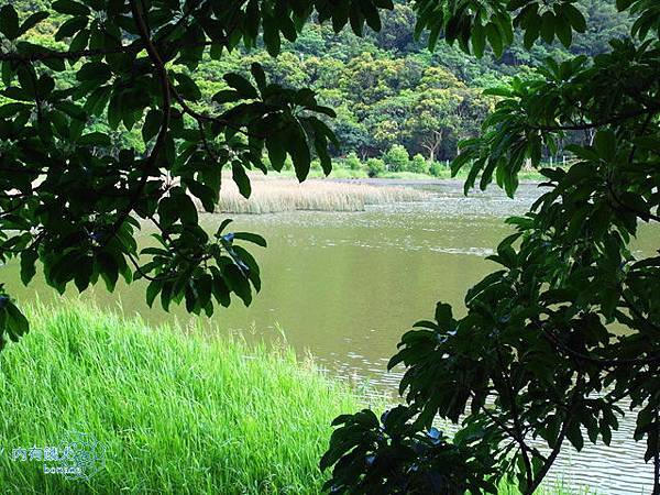 東源湖(哭泣湖)