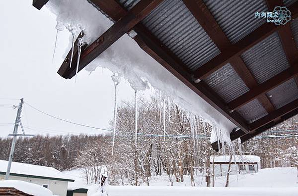 ふらのユースホステル．FURANO YOUTH HOSTEL