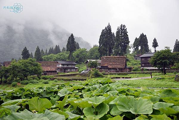 越中五箇山相倉合掌集落