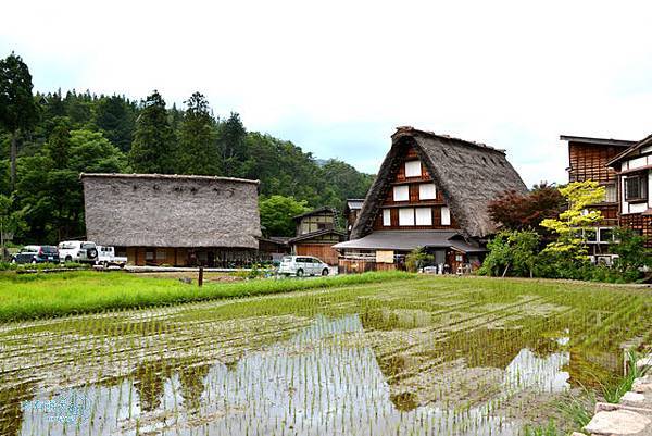 白川鄉荻町合掌造集落