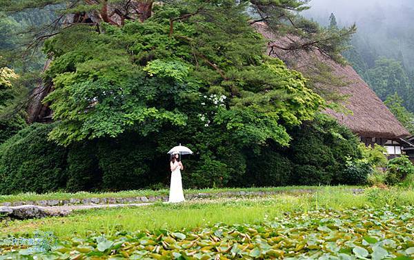 白川鄉荻町合掌造集落