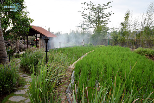 RIMBA Jimbaran BALI by AYANA