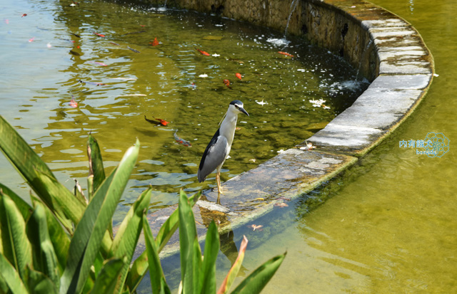 AYANA Resort and Spa Bali