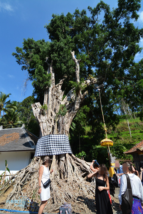 Pura Tirta Empul．聖泉廟