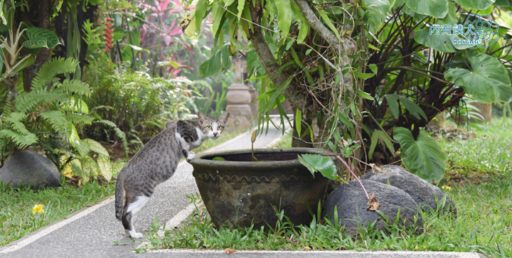 Kutuh Tirta Arum Guest House