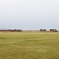 Mid Hvoll Cottages．米德沃爾小屋旅館