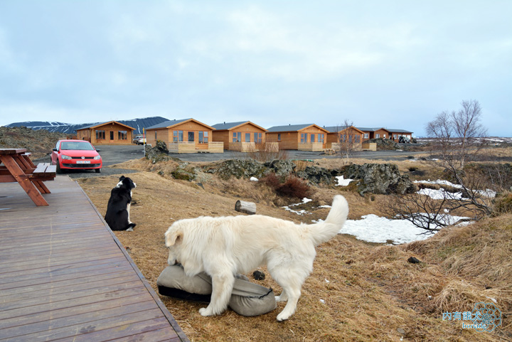 Dimmuborgir Guesthouse．迪姆波賈尼賓館