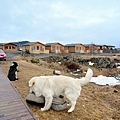 Dimmuborgir Guesthouse．迪姆波賈尼賓館