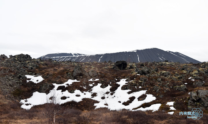 Dimmuborgir Guesthouse．迪姆波賈尼賓館