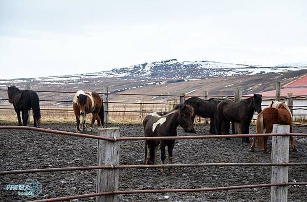 Guesthouse in North-West Iceland