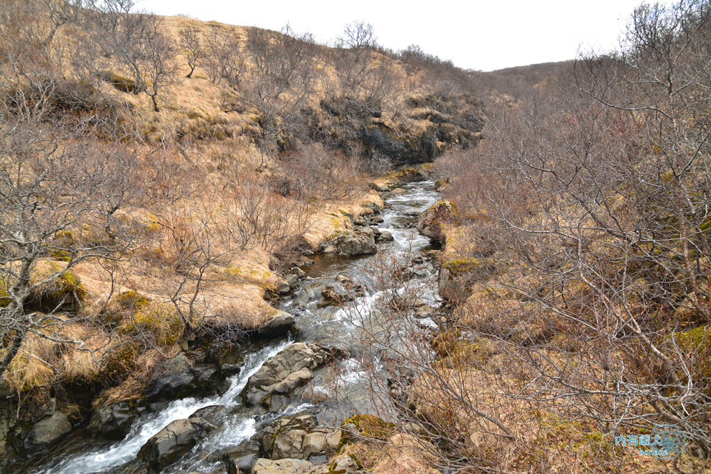 Svartifoss．斯瓦蒂瀑布(玄武岩瀑布)