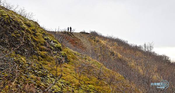 Svartifoss．斯瓦蒂瀑布(玄武岩瀑布)