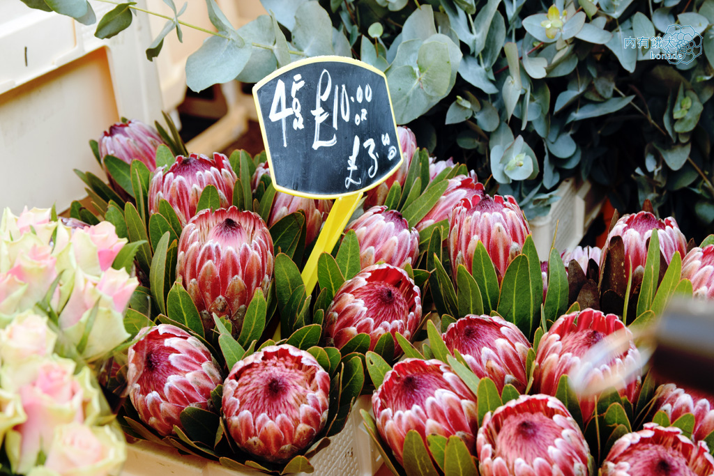 Columbia Road Flower Market．哥倫比亞花市