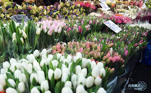 Columbia Road Flower Market．哥倫比亞花市