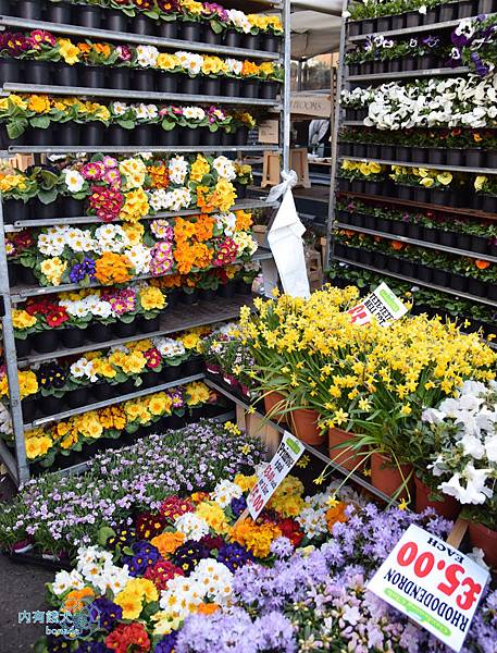 Columbia Road Flower Market．哥倫比亞花市