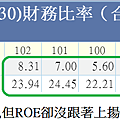 台積電ROE